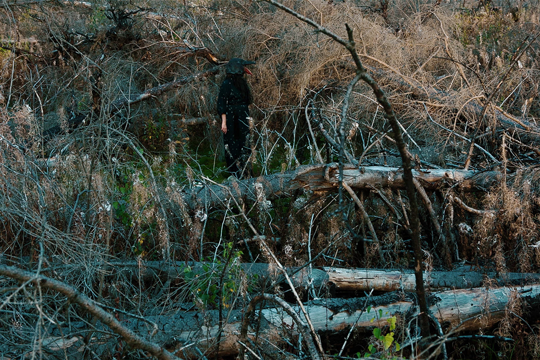 Still bild ur film, kvinna i skog utklädd till en svart fågel