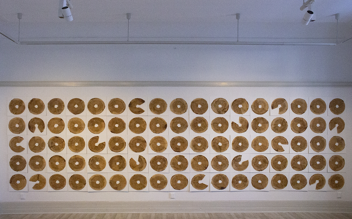 Konstverk som täcker en hel vägg. Kaffefilter uppsatta på en vit kartong. 