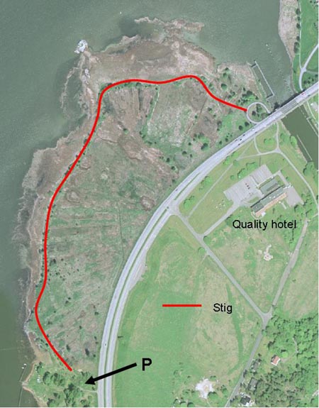 Karta över Nygårdsängens naturreservat