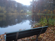 Bilden föreställer en damm och en parkbänk i Björkås