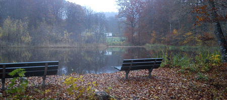 Bilden föreställer två parkbänkar vid dammen i Björkås