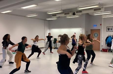 Dance sweat and tears - dansgrupp i Vänerparken