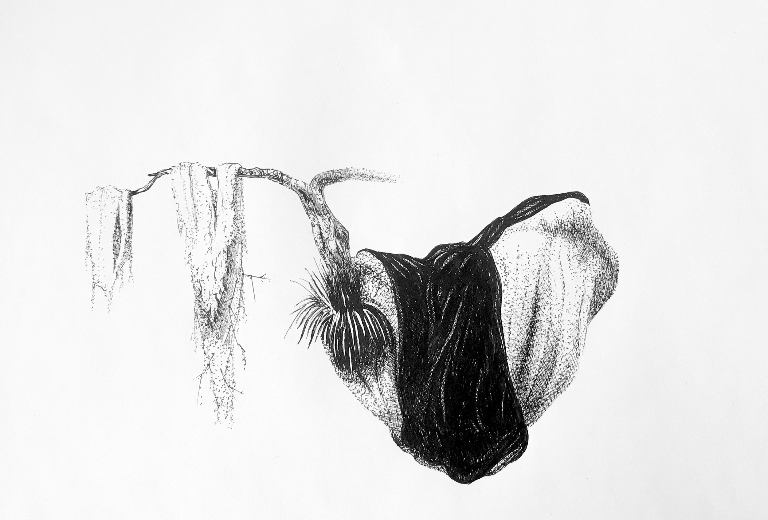 Teckning i svart vitt av ett svävande fantasiföremål med naturinslag.