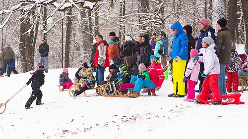 Barn och vuxna i färgglada vinterkläder åker kälke och pulka i snön.
